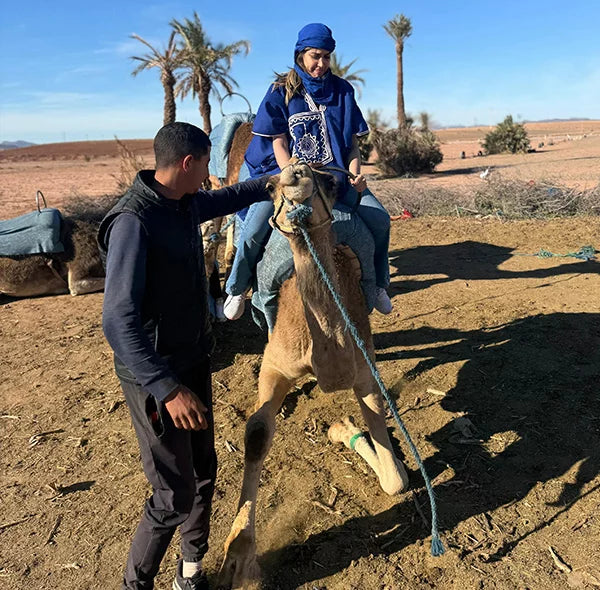 Camel Ride In Plm, Tea and free transport