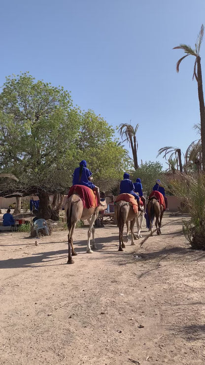 Camel Ride (Special Deal) at NAKHIL